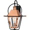 Quoizel Rue De Royal Outdoor Wall Lantern RO8418AC - alternate 1